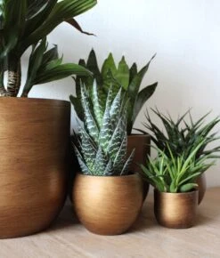 Capi Europe - Bloempot Bol Retro - 23x21 - Goud - Bloempot Voor Binnen - BRTG134 -Tuingereedschaps Winkel 1023x1200 1