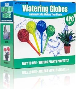Merkloos Decopatent® 4 Stuks - Waterdruppelaar Voor Planten - Watergever - Glas - Waterbollen - Watergeefsysteem - Plantenbollen - Groen 12 Merkloos Decopatent® 4 Stuks - Waterdruppelaar Voor Planten - Watergever - Glas - Waterbollen - Watergeefsysteem - Plantenbollen - Groen -Tuingereedschaps Winkel 1029x1200 1
