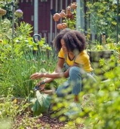 GARDENA - ExpertCut - Snoeischaar - 22 Diameter Tak 30 GARDENA - ExpertCut - Snoeischaar - 22 Diameter Tak -Tuingereedschaps Winkel 1116x1200