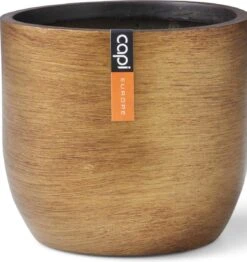Capi Europe - Bloempot Bol Retro - 23x21 - Goud - Bloempot Voor Binnen - BRTG134 -Tuingereedschaps Winkel 1131x1200 5