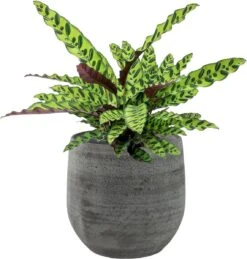 Merkloos Pot Esra Mystic Grey Bloempot Binnen 22 Cm -Tuingereedschaps Winkel 1144x1200 1