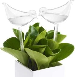 Luxe Planten Waterdruppelaar - Waterbol Vogel - Watergever - Watergeefsysteem Voor Planten & Bloemen - 200ML - Set Van 2 -Tuingereedschaps Winkel 1160x1200