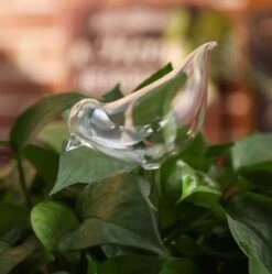 Waterdruppelaar Planten - Vorm Vogel - Set Van 3 Kunststof Druppelaars - 25cm Lengte - Genoeg Water Tijdens Je Vakantie -Tuingereedschaps Winkel 1190x1200 3