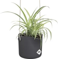 Elho B.for Swing 18 Hangpot - Bloempot Voor Binnen - Ø 18.0 X H 16.5 Cm - Zwart/Antraciet -Tuingereedschaps Winkel 1191x1200 7