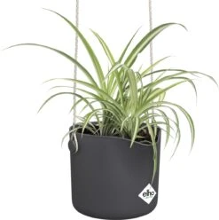Elho B.for Swing 18 Hangpot - Bloempot Voor Binnen - Ø 18.0 X H 16.5 Cm - Zwart/Antraciet -Tuingereedschaps Winkel 1195x1200 8