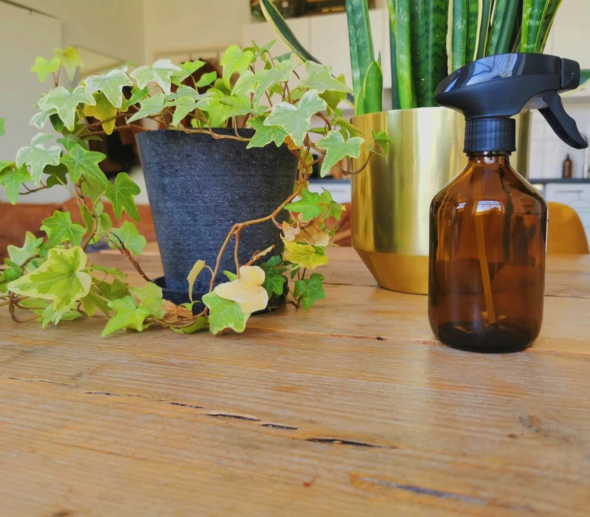 24DOTS Living Plantenspuit | 300 Ml Bruin Amber Glas | Plantensproeier | Plantenspuit Binnen | Waterverstuiver | Vernevelaar 4 24DOTS Living Plantenspuit | 300 Ml Bruin Amber Glas | Plantensproeier | Plantenspuit Binnen | Waterverstuiver | Vernevelaar - Afbeelding 4