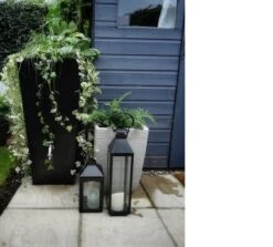 Prestige Manhattan 100L Regenton Zwart (incl. Kraantje) -Tuingereedschaps Winkel 1200x1083 2