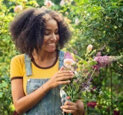 GARDENA - ExpertCut - Snoeischaar - 22 Diameter Tak 22 GARDENA - ExpertCut - Snoeischaar - 22 Diameter Tak -Tuingereedschaps Winkel 1200x1122