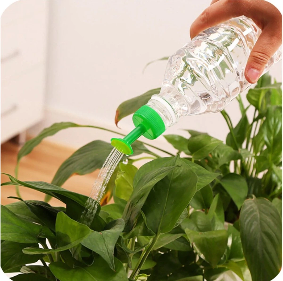 Flesgieter Dop - Fles Plantenspuit - Flessebroes - Broeskop - Fles Gieter - Water Geven - Flesdop - Groen 1 Flesgieter Dop - Fles Plantenspuit - Flessebroes - Broeskop - Fles Gieter - Water Geven - Flesdop - Groen
