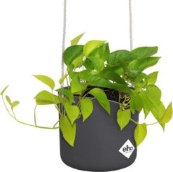 Elho B.for Swing 18 Hangpot - Bloempot Voor Binnen - Ø 18.0 X H 16.5 Cm - Zwart/Antraciet -Tuingereedschaps Winkel 1200x1197 22