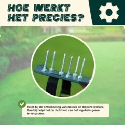 Merkloos Gazonbeluchtingssandalen Premium - Gazonbeluchter - Beluchter - Gazonverluchter - Gazonpriksandalen - Verticuteerroller - Graszaad - Gazonmest - Kerstcadeau - Voor Mannen - Voor Vrouwen - Cadeautjes- Vaderdag Cadeau- Geschenk- Cadeautjes -Tuingereedschaps Winkel 1200x1197 3