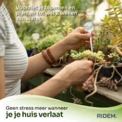 Waterdruppelaar Voor Planten - Irrigatiesysteem- Waterbol - Druppelsysteem - Watergeefsysteem Voor Kamerplanten - Plantenwatergever -6 Stuks - Transparant -Tuingereedschaps Winkel 1200x1198 14