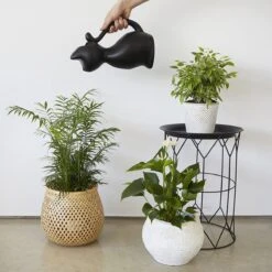 Balvi Meow! Kat Gieter - Zwart 8 Balvi Meow! Kat Gieter - Zwart -Tuingereedschaps Winkel 1200x1200 1058