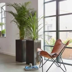 Capi Europe - Bloempot Rechthoek Smooth NL - 36x36x79 - Zwart - Voor Binnen En Buiten - KBL952 -Tuingereedschaps Winkel 1200x1200 1091