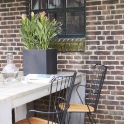 Capi Europe - Bloempot Vierkant Smooth NL - 30x30x30 - Zwart - Voor Binnen En Buiten - KBL902 -Tuingereedschaps Winkel 1200x1200 1108