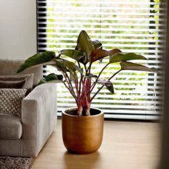 Capi Europe - Bloempot Bol Retro - 23x21 - Goud - Bloempot Voor Binnen - BRTG134 -Tuingereedschaps Winkel 1200x1200 1122