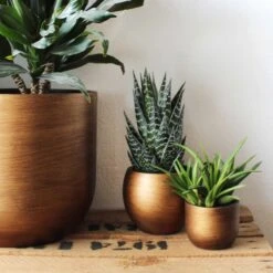 Capi Europe - Bloempot Bol Retro - 23x21 - Goud - Bloempot Voor Binnen - BRTG134 -Tuingereedschaps Winkel 1200x1200 1123