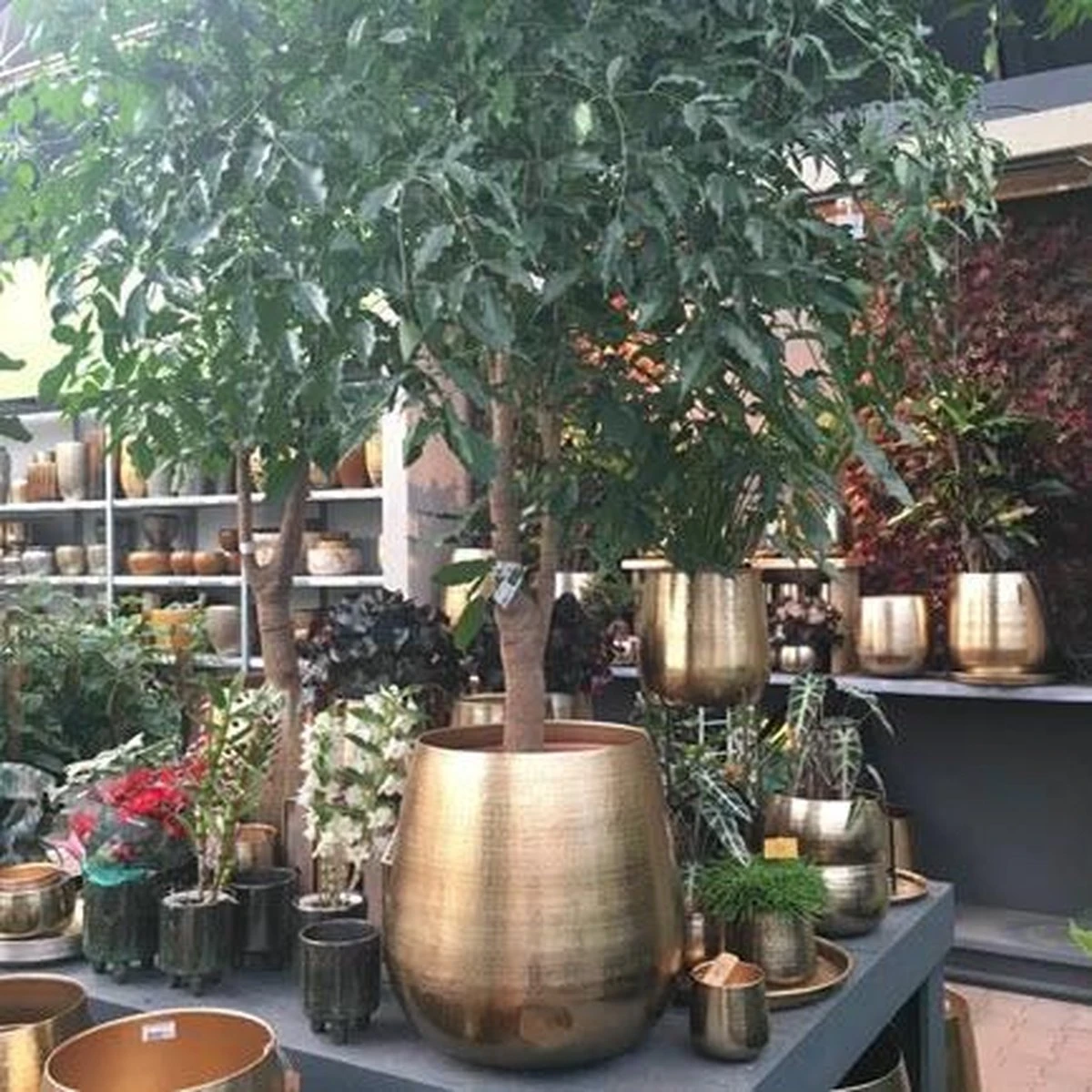 Gina Da Bloempot Karakter Goud - XL 5 Gina Da Bloempot Karakter Goud - XL - Afbeelding 5