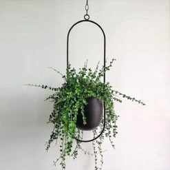Be-Inspired® Hangende Bloempot Ovaal - Bloempot Binnen - Voor Hangplant – Plant Bloem Pot Met Opknoping – Plantenhanger - Plantenbak - Industrieel – Scandinavisch - Metaal - Zwart 9 Be-Inspired® Hangende Bloempot Ovaal - Bloempot Binnen - Voor Hangplant – Plant Bloem Pot Met Opknoping – Plantenhanger - Plantenbak - Industrieel – Scandinavisch - Metaal - Zwart -Tuingereedschaps Winkel 1200x1200 1126