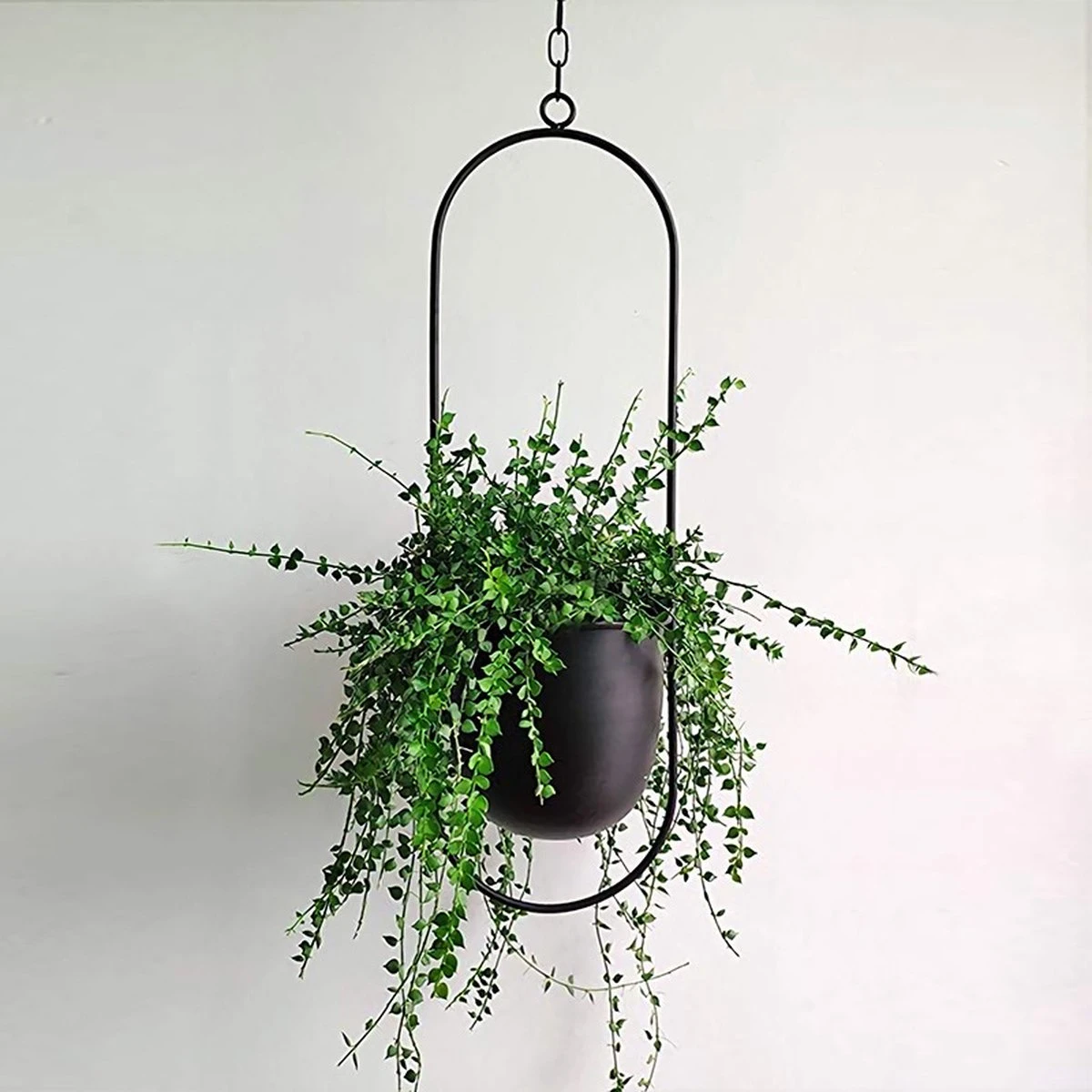 Be-Inspired® Hangende Bloempot Ovaal - Bloempot Binnen - Voor Hangplant – Plant Bloem Pot Met Opknoping – Plantenhanger - Plantenbak - Industrieel – Scandinavisch - Metaal - Zwart 3 Be-Inspired® Hangende Bloempot Ovaal - Bloempot Binnen - Voor Hangplant – Plant Bloem Pot Met Opknoping – Plantenhanger - Plantenbak - Industrieel – Scandinavisch - Metaal - Zwart - Afbeelding 3