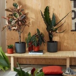 Elho B.for Soft Rond 35 - Bloempot Voor Binnen - Ø 34.5 X H 32.3 Cm - Antraciet -Tuingereedschaps Winkel 1200x1200 1130