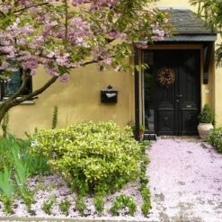 Talen Tools - Voetenveger - Dubbel - Harde Kunststof Borstels -Tuingereedschaps Winkel 1200x1200 247