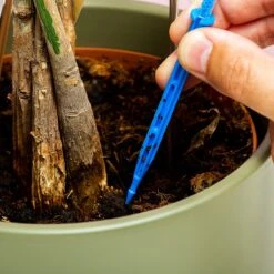 Woonaccessoires- Automatisch Watergeef Systeem | Plantenwaterer - Life Support Irrigatieapparaat | Druppelaar Kamerplanten - | Planten Watergever Met Druppelsysteem 350ml 14 Woonaccessoires- Automatisch Watergeef Systeem | Plantenwaterer - Life Support Irrigatieapparaat | Druppelaar Kamerplanten - | Planten Watergever Met Druppelsysteem 350ml -Tuingereedschaps Winkel 1200x1200 662