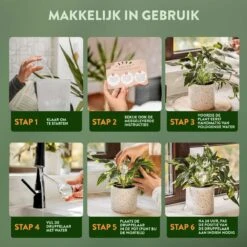 STFF & Co® Waterdruppelaar Voor Planten – Irrigatiesysteem Automatisch Watergeefsysteem – Waterbollen Voor Planten – Bewateringssysteem – 8 Stuks - 5cm -Tuingereedschaps Winkel 1200x1200 698