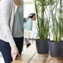 Elho Brussels Sprayer 12 - Plantenspuit Voor Binnen - Ø 11.3 X H 22.3 Cm - Groen/Mint -Tuingereedschaps Winkel 1200x1200 730