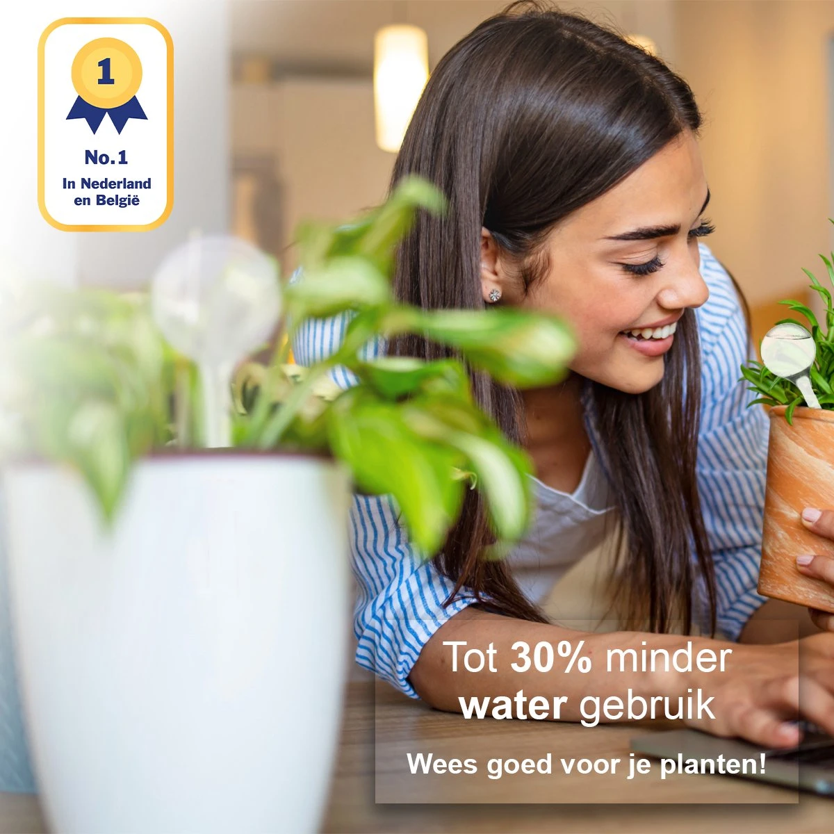 Waterdruppelaar Set Van 12 Stuks - Waterdruppelaar Voor Planten - Watergeefsysteem - Waterbol Irrigatiesysteem - Automatisch Druppelsysteem Voor Kamerplanten & Tuin - Watergever - Transparant - 15cm 2 Waterdruppelaar Set Van 12 Stuks - Waterdruppelaar Voor Planten - Watergeefsysteem - Waterbol Irrigatiesysteem - Automatisch Druppelsysteem Voor Kamerplanten & Tuin - Watergever - Transparant - 15cm - Afbeelding 2