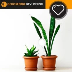 Waterdruppelaar Set Van 6 Stuks Voor Planten Transparant – 27 CM – Automatisch Watergeefsysteem Voor Kamerplanten – Planten Watergever Met Druppelsysteem – Waterbol -Tuingereedschaps Winkel 1200x1200 767