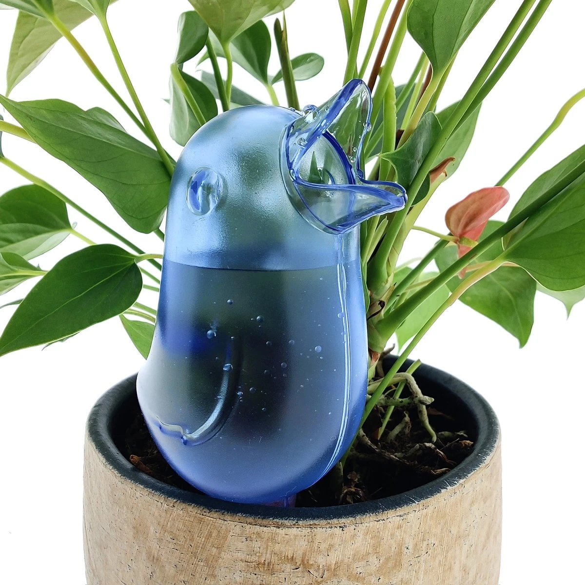 JS Drippy - Waterdruppelaars Set Van 2 Stuks - Druppelaar Vogel - Druppelsysteem Planten - Watergeefsysteem Kamerplanten - Waterbol - Blauw 3 JS Drippy - Waterdruppelaars Set Van 2 Stuks - Druppelaar Vogel - Druppelsysteem Planten - Watergeefsysteem Kamerplanten - Waterbol - Blauw - Afbeelding 3