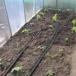 Druppelslang Actiepakket 100 Meter - Leidingshop -Tuingereedschaps Winkel 1200x1200 793