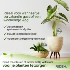 Waterdruppelaar Voor Planten - Irrigatiesysteem- Waterbol - Druppelsysteem - Watergeefsysteem Voor Kamerplanten - Plantenwatergever -6 Stuks - Transparant -Tuingereedschaps Winkel 1200x1200 796