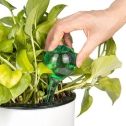 Merkloos Decopatent® 4 Stuks - Waterdruppelaar Voor Planten - Watergever - Glas - Waterbollen - Watergeefsysteem - Plantenbollen - Groen 19 Merkloos Decopatent® 4 Stuks - Waterdruppelaar Voor Planten - Watergever - Glas - Waterbollen - Watergeefsysteem - Plantenbollen - Groen -Tuingereedschaps Winkel 1200x1200 799