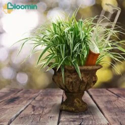 Bloomin Waterdruppelaar Van Terracotta - Waterdruppelaar Voor Planten - Druppelsysteem - Irrigatiesysteem - Watergeefsysteem - Bewateringssysteem - 8 Stuks -Tuingereedschaps Winkel 1200x1200 801