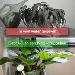 Waterdruppelaar Set Van 6 Stuks - Waterdruppelaar Voor Planten - Watergeefsysteem - Waterbol Irrigatiesysteem - Automatisch Druppelsysteem Voor Kamerplanten & Tuin - Watergever - Doorzichtig - 15cm -Tuingereedschaps Winkel 1200x1200 805