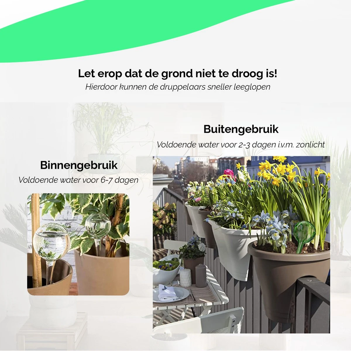 Waterdruppelaar Set Van 8 Stuks Voor Planten Transparant - Waterdruppelaar Voor Kamerplanten – Waterbol - Waterdruppelaar Voor Planten - Watergeefsysteem 5 Waterdruppelaar Set Van 8 Stuks Voor Planten Transparant - Waterdruppelaar Voor Kamerplanten – Waterbol - Waterdruppelaar Voor Planten - Watergeefsysteem - Afbeelding 5
