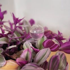 Merkloos JADI - Druppelsysteem - Waterdruppelaar Voor Uw Planten - Set Van 6 Stuks - 3 Grote & 3 Kleine - Transparante Waterbollen -Tuingereedschaps Winkel 1200x1200 832