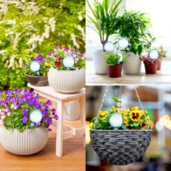 Druppelsysteem 12 Stuks Waterdruppelaar Voor Planten - Waterafgiftesysteem Voor 2 Weken - Beregening Voor Kamerplanten -Tuingereedschaps Winkel 1200x1200 843