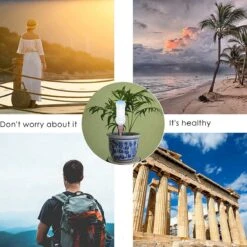 BOTC Waterdruppelaar Set Van 6 Stuks Voor Planten - Watergeefsysteem -Tuingereedschaps Winkel 1200x1200 849