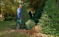 Bosch ALB 36 LI - Bladblazer - Met 36 V Accu En Lader -Tuingereedschaps Winkel 1200x747 2