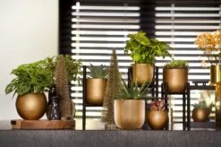 Capi Europe - Bloempot Bol Retro - 23x21 - Goud - Bloempot Voor Binnen - BRTG134 -Tuingereedschaps Winkel 1200x795 4