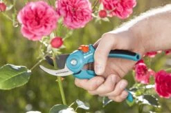 GARDENA - Classic B/S-M Bypass Snoeischaar - Ø 22mm - 25 Jaar Garantie -Tuingereedschaps Winkel 1200x799 15