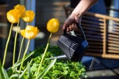 Xala - Gieter Doppio Groove 2L Olijfgrijs -Tuingereedschaps Winkel 1200x799 206