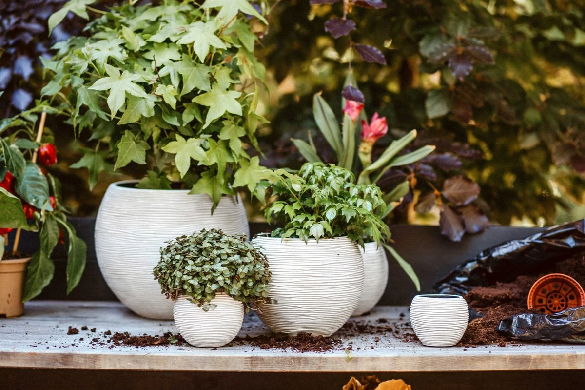 Capi Europe - Set Van 3 - Bloempot Binnen - Rib Ivoor 3 Capi Europe - Set Van 3 - Bloempot Binnen - Rib Ivoor - Afbeelding 3