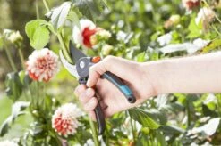 GARDENA Comfort B/M Bypass Snoeischaar - Ø 24mm - Met Sapgeul -Tuingereedschaps Winkel 1200x799 21