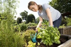 GARDENA Combisystem Tuinhak - Werkbreedte 6,5cm - 25 Jaar Garantie -Tuingereedschaps Winkel 1200x799 81