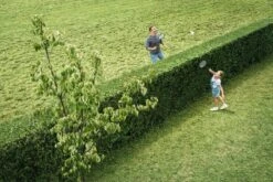 Bosch AHS 50-20 Accu Heggenschaar - Met 1 X 18 V Accu En Lader -Tuingereedschaps Winkel 1200x800 11