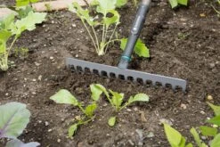 Gardena NatureLine Hark | 36 Cm | FSC 100% - 17106-20 9 Gardena NatureLine Hark | 36 Cm | FSC 100% - 17106-20 -Tuingereedschaps Winkel 1200x800 154